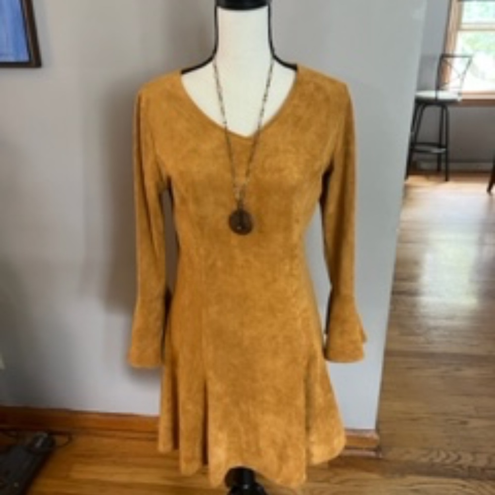 Faux suede A-line dress with princess seams, rich fall color, small